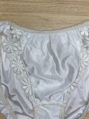 Vintage Slippery Polyester Hi Cut Panty Sheer Nylon Rayon Lace Bikini Sz.6/M