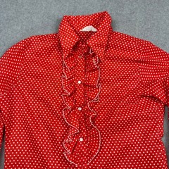 Vtg Judy Bond Red Polka Dot Ruffle Front Blouse Long Sleeve Retro Top Sz 16
