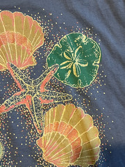 Vintage 1990s Fruit of the Loom Best Womens? T-Shirt Seashells/Starfish/SeaHorse
