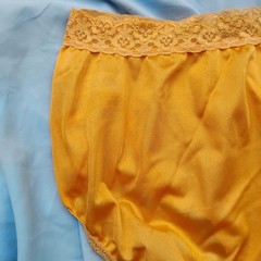 Vtg Fruit Of The Loom Sz-7 Sheer Nylon Hi Waist Brief Panties