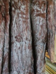 VINTAGE FUR COATS (3) AS IS LOT