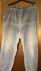 Women’s Plus Sz 2X Denim Cotton Avenue Blues Jeans inseam 29 elastic waist 38-42