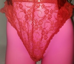RARE VINTAGE MIDNIGHT HOUR SILKY RED ROSE NYLON CHIFFON BODYSUIT TEDDY NWT! Med