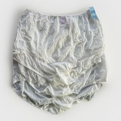 VTG Dixie Belle Sheer Nylon High Waist Panties White Sculpted Feature 3 In Lot
