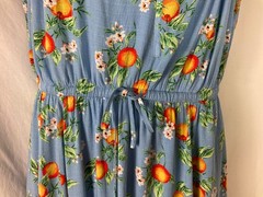 Torrid Maxi Blue Floral Apple Design Fabric Dress Women Lined Long Dress Sz 2