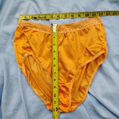 Vtg Fruit Of The Loom Sz-7 Sheer Nylon Hi Waist Brief Panties