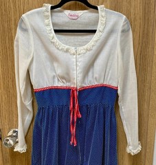 Vintage 1970s Evelyn Pearson Maxi Dress Cottage Core Small Pockets! Blue Ivory
