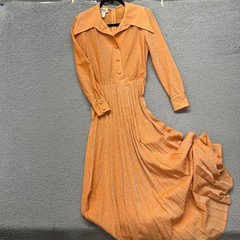 Vtg 70’s Fred Rothschild Dress Womens S Orange Shimmer Oversized Dagger Collar