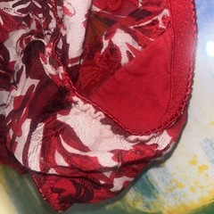 Vintage Silkscreen Bikini Panties Sz 6/M