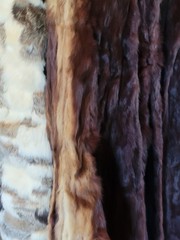 VINTAGE FUR COATS (3) AS IS LOT