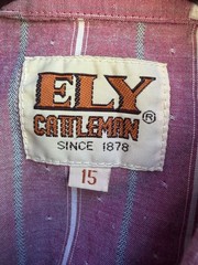 Vintage ELY Cattleman Sleeveless Western Shirt Pink Striped Snap Front Size 15