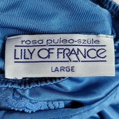 Lily of France Rosa Puleo-Szule Nightgown Blue Large Lace Pleat Satin USA VTG