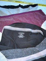 Panty Lot 4 Berry Pink Sparkle Black Silver Cacique Mix Brief Bikini 22 24 3X +