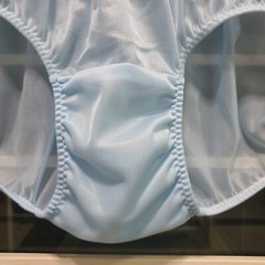 Vintage Sheer Nylon Panty Blue Sissy Floral Lace Granny Brief Size 8 Hip 39-43″