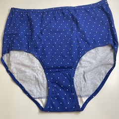 Vintage Fruit of the Loom High Waist Brief Panty Size 7 Blue White Polka Dot