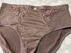 Vtg INTIMATES 3042 Polyester Lace Inserts Hi-Cut Sz 9/2XL Brown Panties #71