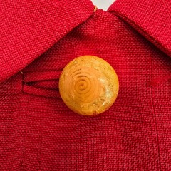 Vintage 1960s Bullock’s Wilshire Los Angeles Red Shantung Silk Mod Coat (L)