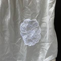 Carole Vintage Panties Sissy Nylon Ivory Brief Lace Applique New NOS NWT Size 7