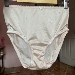 Vintage Panties Nylon Briefs Champagne Slippery Haft Waist Double Gusset Sheer