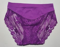 Satin Strech Bikini Panty Nylon Spandex Floral LACE Back 5/S Purple