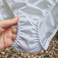 Vintage Sheer Nylon Panty Ice Gray Bikini Sissy Lace Brief Size 7-8 Hip 38-42″