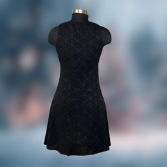 La Belle Women’s Black Whimsigoth Lace Dress L Sleeveless Flared