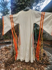 Mardi Gras Party Dress And Mask Size M