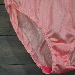 Fruit of the Loom Granny Brief Panty Size 8 Salmon Shiny Sissy Lace Trim Panties