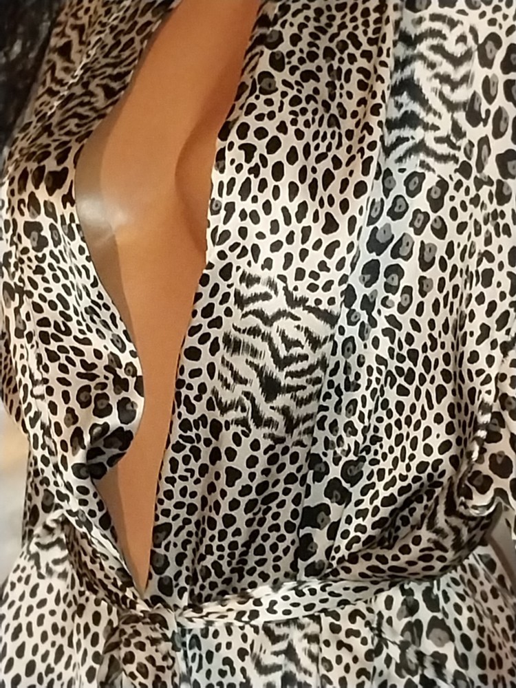 VTG SILK NWT M.TAYLOR BABYDOLL NIGHTGOWN ROBE CAT JUNGLE SILVER B 46″