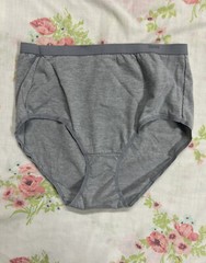 Hanes Brief Panty Soft Panties Size 5 / S