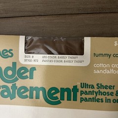 Vtg Hanes Under Statement Tummy Control Leg And Panty Color Barely There Size B