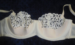 NWOT! VTG Victoria’s Secret Ivory Embroidered Lace Unlined Balconette Bra 36C