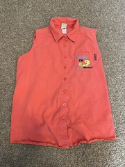 Vintage 2002 Looney Tunes Tweety Button Up Shirt Women’s 2X