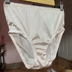Vintage Panties Nylon Briefs Champagne Slippery Haft Waist Double Gusset Sheer