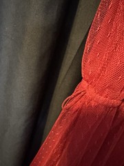 Vintage d.b.a.-l.a. Red Swiss Dot Dress Size 9 Cottagecore Lace Ruffle Prairie