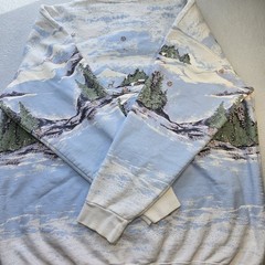 Vtg Northern Reflections Sweatshirt XL Grandmacore Cottagecore Nature Flaws