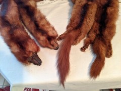 Vintage 6 Pelt Mink Fur Stole Scarf Shaw 44 inches Long Mouth Clasp Or Button