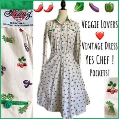 LANZ Original Vintage Shirt Dress Cottage Core Swing Skirt Pockets! Unique 30 W