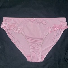 Delta Burke Underwear Panties Woman’s SZ 10/3X Briefs NOS Poly/spandex PLUS NEW