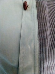 Vintage Corduroy Vest,”Paula Saker”Size12,Wood Buttons w/2 Lower Front Pockets