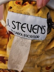 Vtg. J. Stevens by Carol Escritor Women’s Sz 12 Maxi Autumn Themed Dress