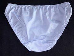 Warner’s Vtg Y2K Panties L Baby Blue Low Rise Bikini Nylon Sweet Pea Underwear
