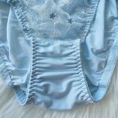 Vintage Sissy Lace Panty Blue Nylon Spandex Blend Brief Size Small Hip 32-36″