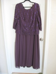 Vintage Purple Embellished Lace & Chiffon Evening Gown- Size 16W – Alex Evenings