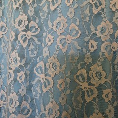 Odette Barsa Vtg Budoir Retro Lace Beige Blue Robe House Coat Dressing Gown Glam