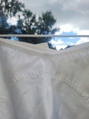2 Vtg Lovable Co Celebrity Size XL Pinup Sissy Granny Panty Brief Shiny White