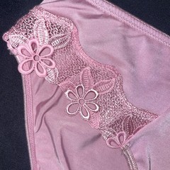 Delta Burke Underwear Panties Woman’s SZ 10/3X Briefs NOS Poly/spandex PLUS NEW
