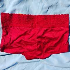 Vtg Maidenform Sz-5/S Cheeky Boyshorts Panties Panties NWT