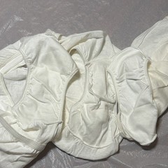 VTG Carole Lot of 3 Granny Panties Sz 7 White 100% Cotton Gusset USA Underwear