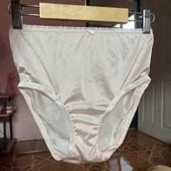 Vintage Panties Nylon Briefs Champagne Slippery Haft Waist Double Gusset Sheer